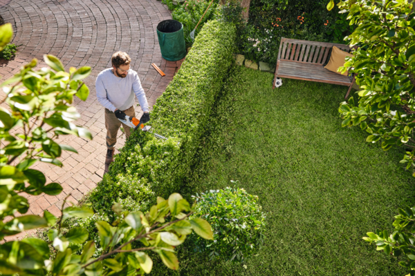 Mann verwendet STIHL Akku-Heckenschere in einem sonnigen Garten