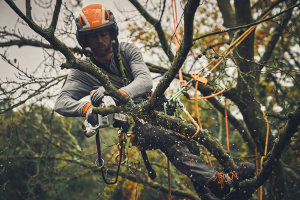 Professioneller Baumpfleger schneidet Ast mit STIHL Motorsäge