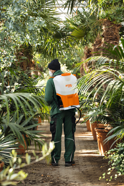 Person verwendet STIHL SGA 85 Spritzgerät im Gewächshaus