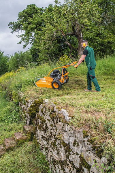 Professioneller Gärtner mäht Wiese mit AS 73 4T B&S Mäher neben Steinmauer