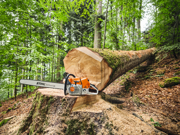 STIHL MS 881 Kettensäge auf Baumstamm in Wald
