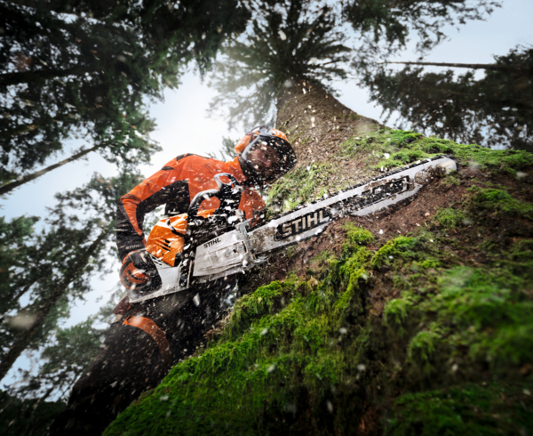 Professioneller Forstarbeiter fällt Baum mit Stihl Motorsäge im Schnee