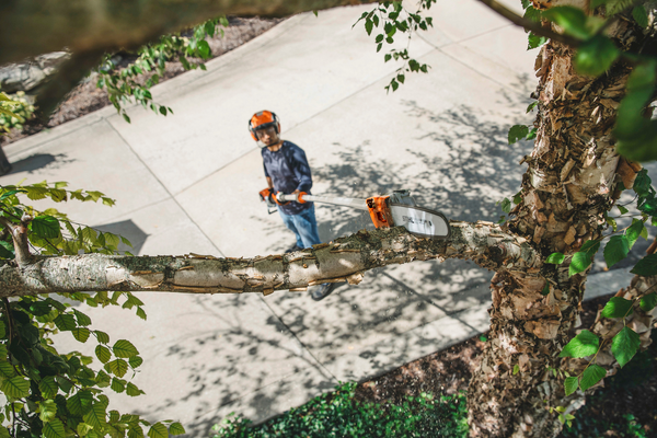 Professioneller Gärtner verwendet STIHL HT 135 Hochentaster zum Schneiden von Baumästen