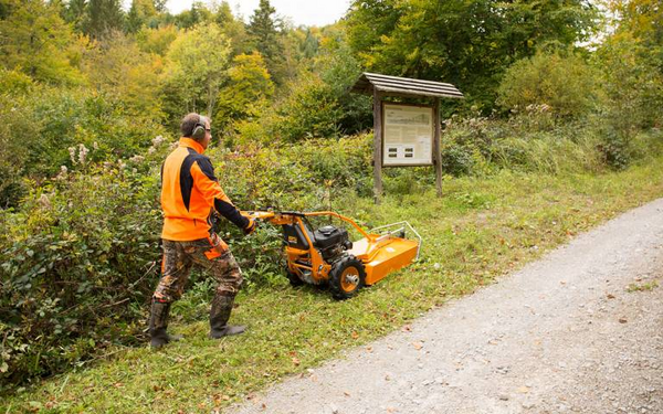 Mann in Sicherheitskleidung mäht Gras am Waldweg mit professionellem Mäher AS 65 2T ES