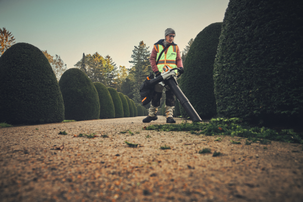 Professioneller Gärtner verwendet STIHL Akku-Saughäcksler auf Kiesweg neben hohen Hecken