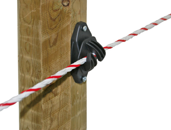 Nahaufnahme eines EASYCord Seilisolators an einem Holzpfosten mit rot-weißem Elektroseil