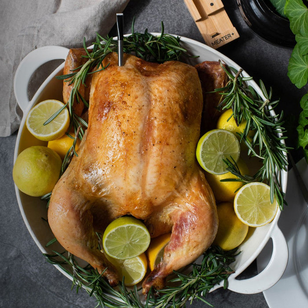 Gebratenes Huhn mit MEATER Plus Thermometer und frischen Kräutern in einer weißen Auflaufform