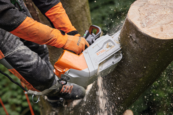 Professioneller Baumpfleger sägt Baumstamm mit STIHL MSA 220 TC-O Akku-Baumpflegesäge
