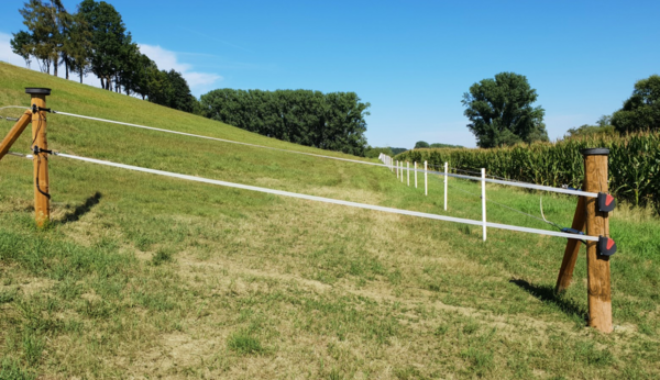 Elektrifizierte Pferdekoppel mit Flexigate Seilanschlusskabel in ländlicher Umgebung