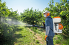 Mann verwendet STIHL SR 200 Sprühgerät in Obstplantage
