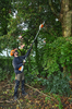 Professioneller Baumpfleger verwendet Stihl HTA 66 Hochentaster in grüner Umgebung