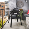 Weber Q1200N Gasgrill mit Stand, Black