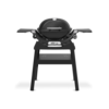 Weber Q1200N Gasgrill mit Stand, Black