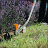 STIHL Kantenschneider im Einsatz bei der Pflege von Rasenkanten in einem blühenden Garten