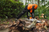 Person in STIHL Schutzkleidung sägt Baum im Wald