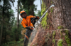 Forstarbeiter fällt Baum mit STIHL Motorsäge in bewaldeter Umgebung