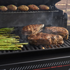 Weber GENESIS E-330WR Stealth LP