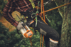 Professionelle Baumpflege mit STIHL Motorsäge und Sicherheitsausrüstung