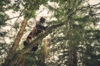 STIHL MSA 220 T 35 cm / 61 PS3 Pro