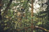 STIHL MSA 220 T 35 cm / 61 PS3 Pro