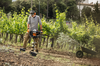 Mann benutzt STIHL BT 131 Erdbohrgerät in einem Weinberg