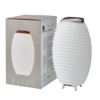 Kooduu Synergy 65 2.0 neben seiner Verpackung, zeigt Funktionen als Lautsprecher, Lampe und Kühler