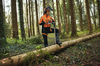 Forstarbeiter in STIHL Schutzkleidung mit Motorsäge im Wald