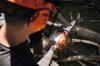 Person verwendet STIHL MSA 220 C-B Akku-Kettensäge zum Baumfällen