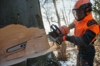 Forstarbeiter mit Stihl Motorsäge sägt Baum im Winter