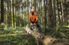 Person in Schutzausrüstung sägt Baumstamm im Wald mit Motorsäge