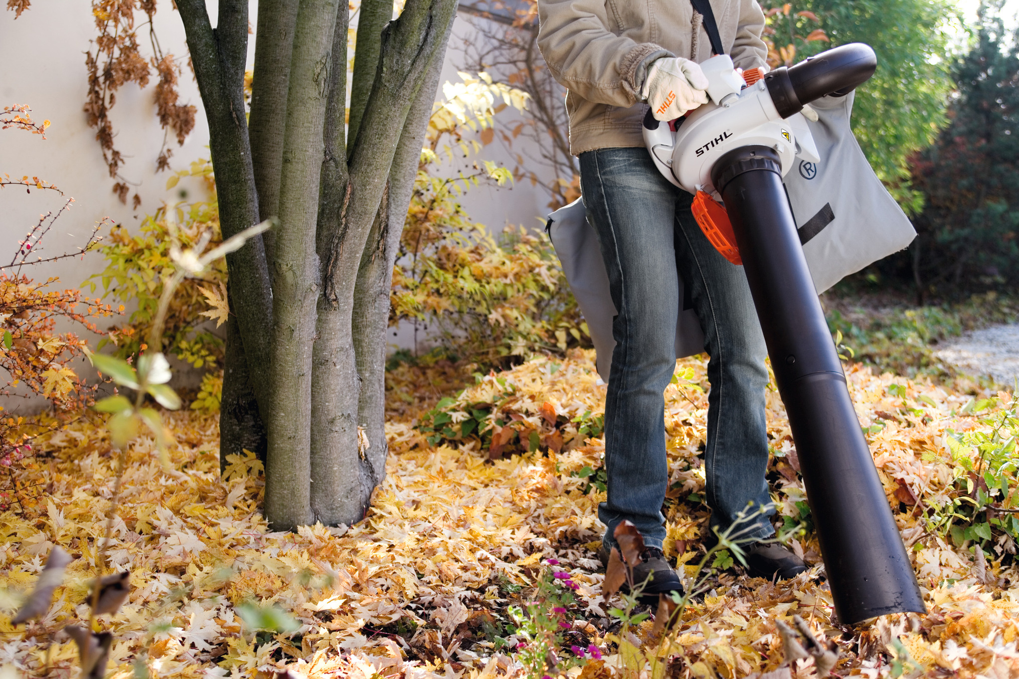 Person verwendet STIHL SH 56 C-E Saughäcksler im herbstlichen Garten