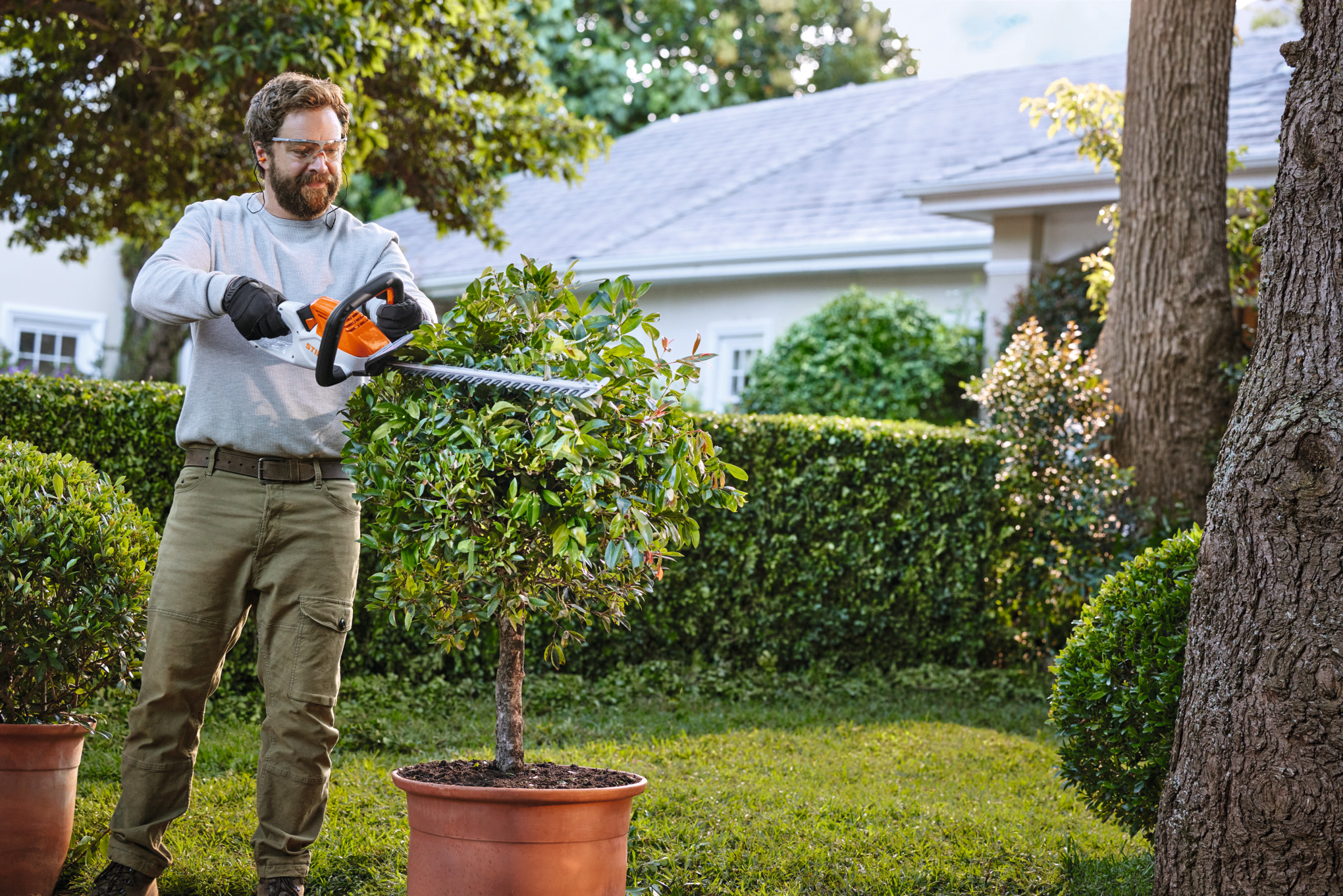 Mann verwendet STIHL Akku-Heckenschere in einem sonnigen Garten