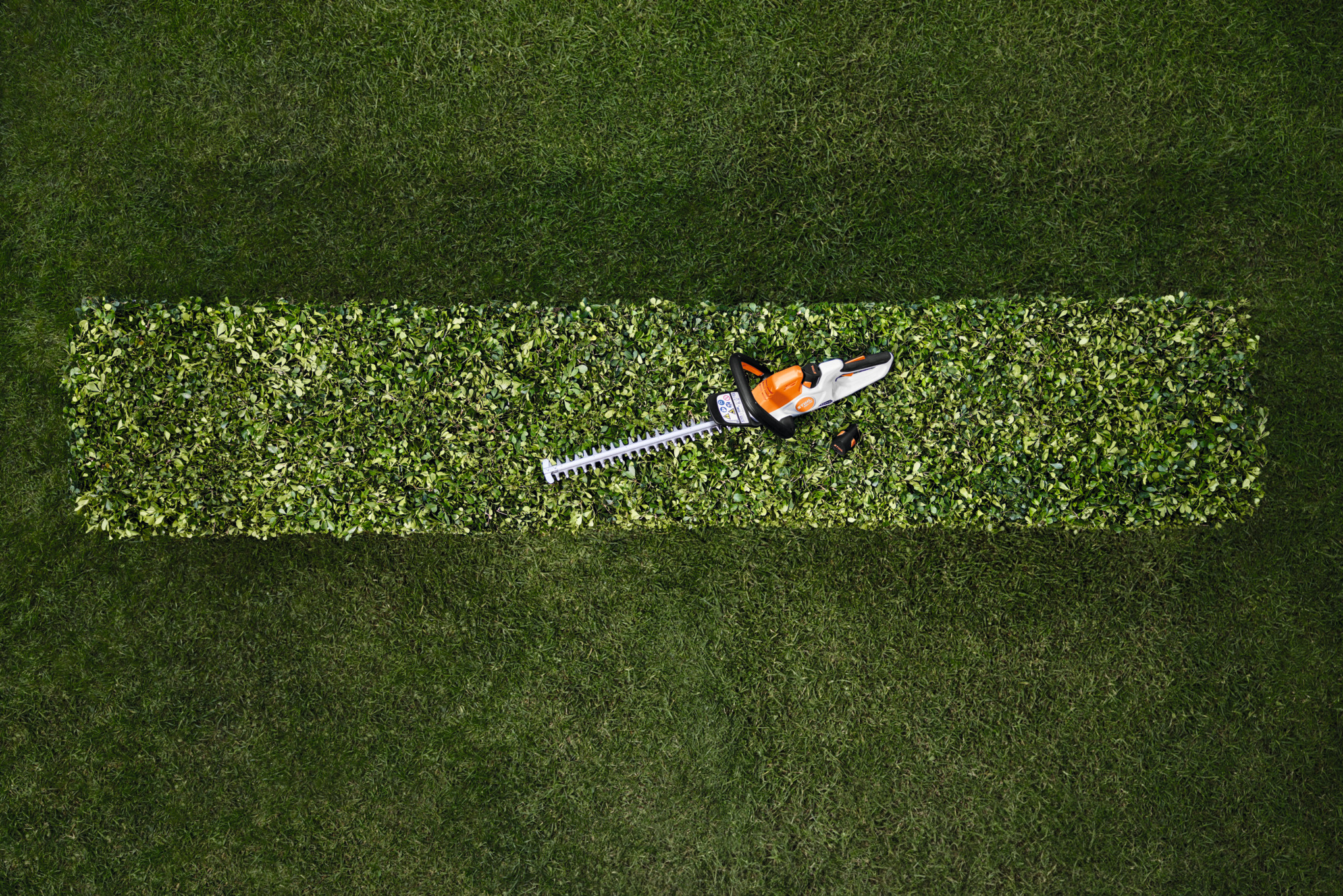 STIHL Akku-Heckenschere HSA 40 auf frisch geschnittener Hecke im Garten