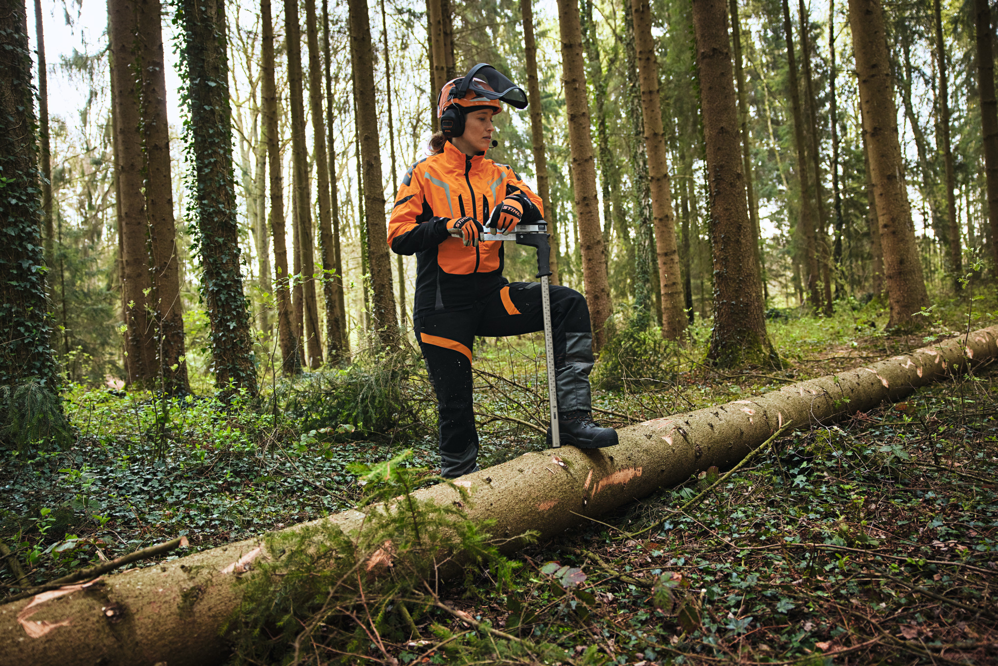 Forstarbeiter in STIHL Schutzausrüstung mit Motorsäge im Wald