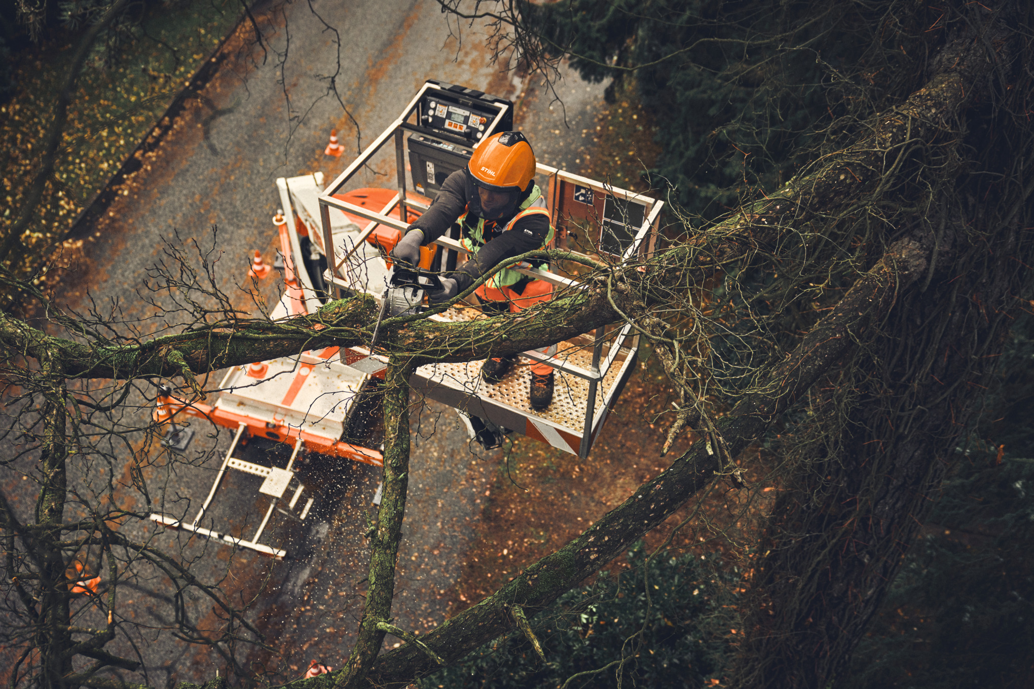 Professioneller Baumpfleger schneidet Baumast mit STIHL Motorsäge in Hebebühne