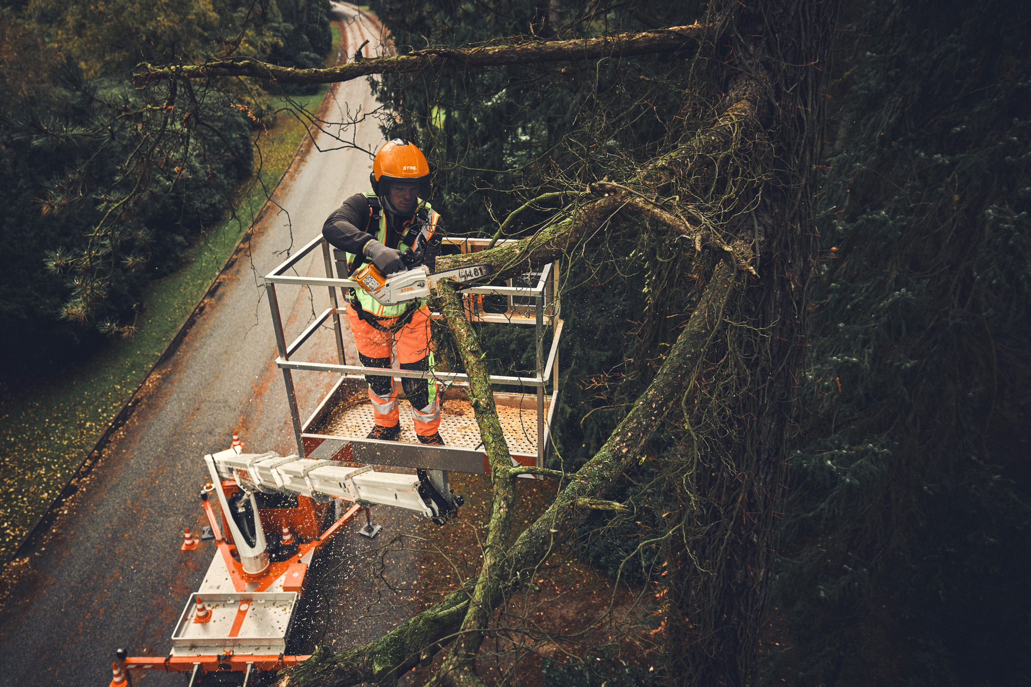 Professioneller Baumpfleger schneidet Baumast mit STIHL Akku-Motorsäge auf Hebebühne
