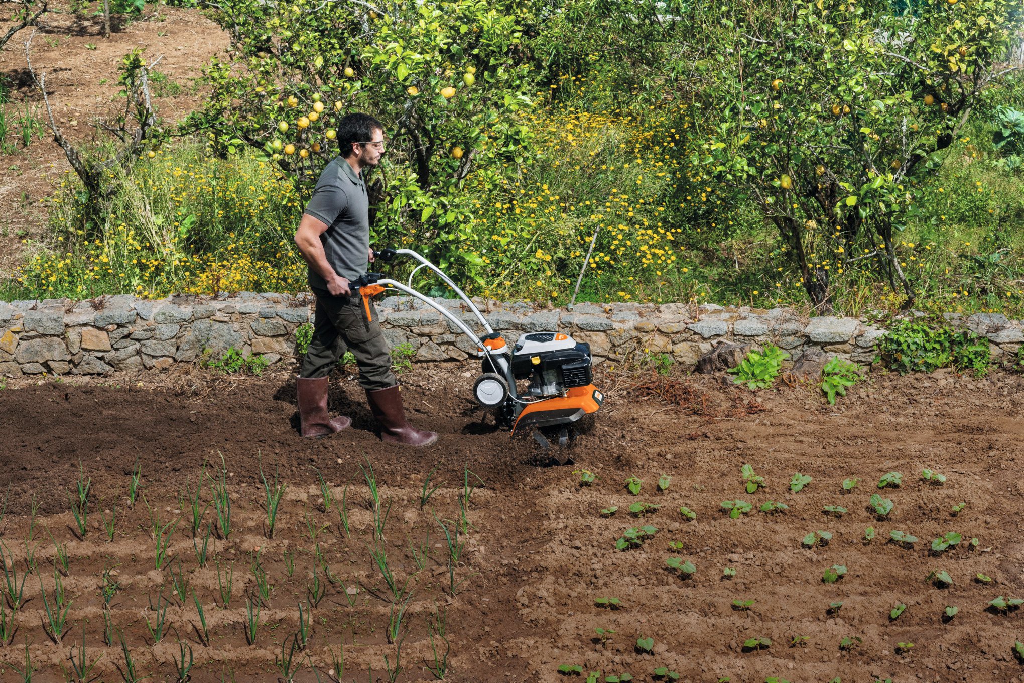 Mann verwendet STIHL MH 685 Motorhacke in einem Garten mit Obstbäumen