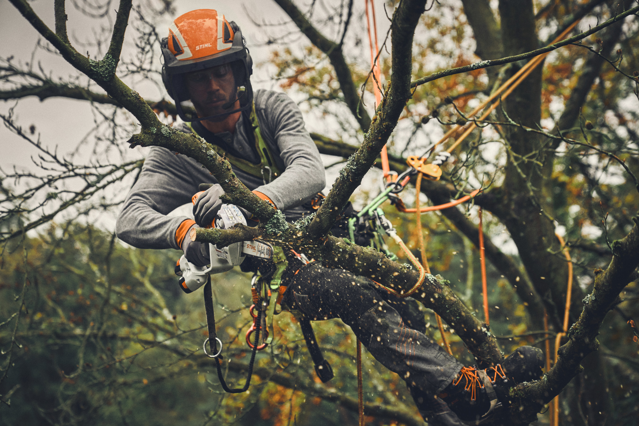 Professioneller Baumpfleger schneidet Ast mit STIHL Motorsäge