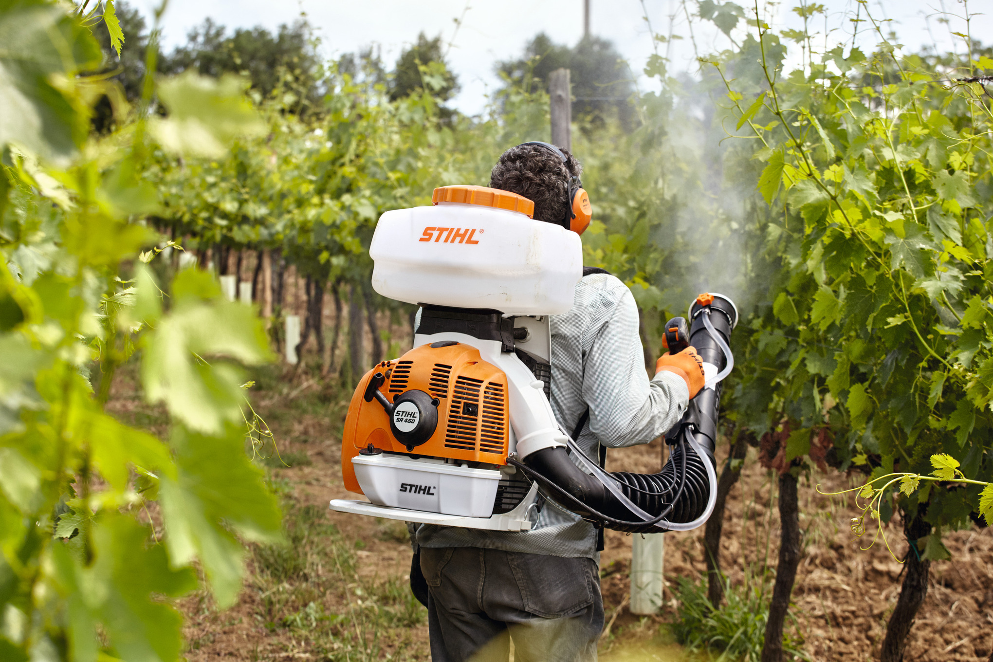 Person verwendet STIHL SR 450 Sprühgerät in einem Weinberg