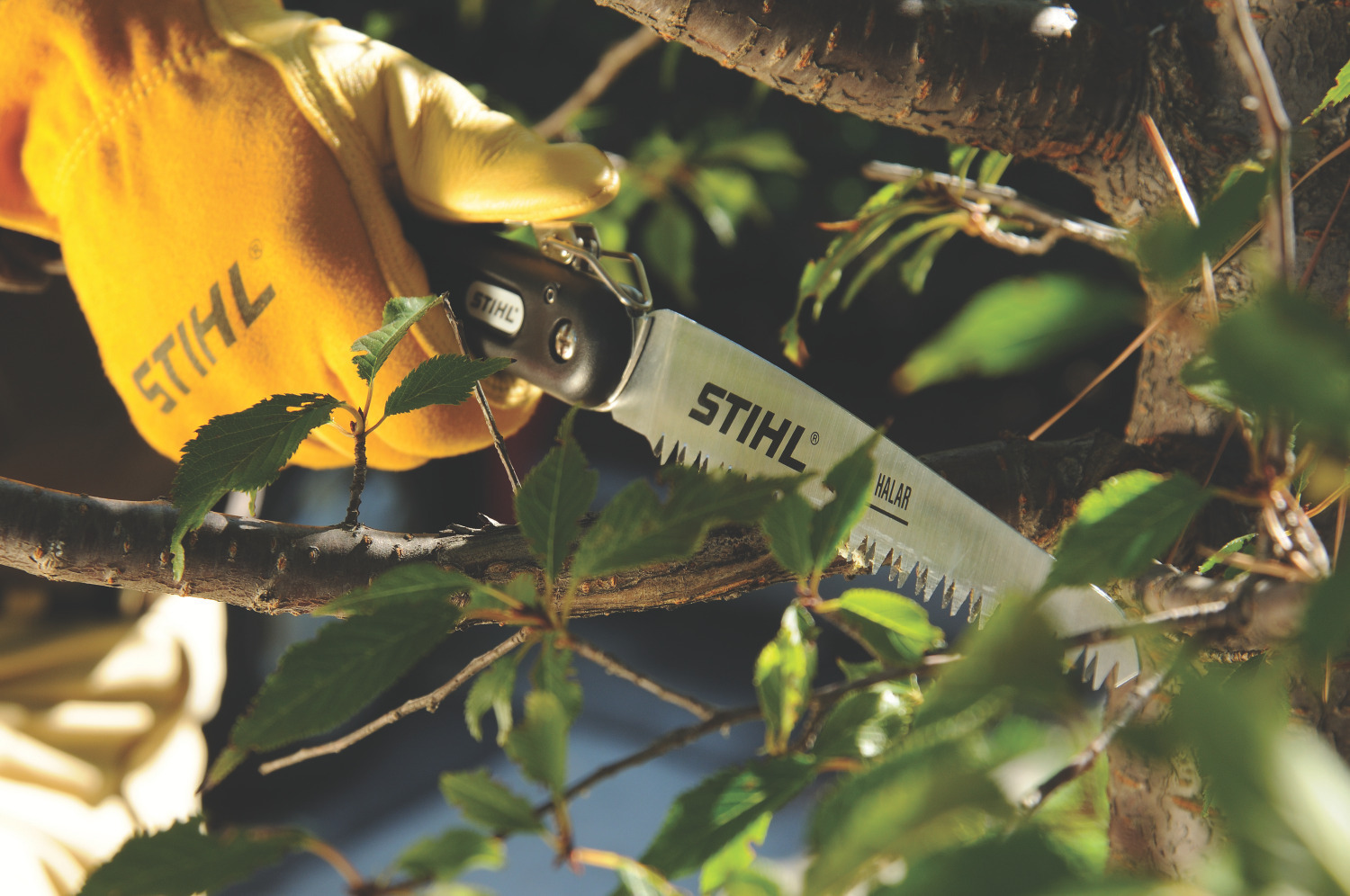 Hand in gelbem Handschuh sägt Ast mit STIHL Astsäge PR 33 C