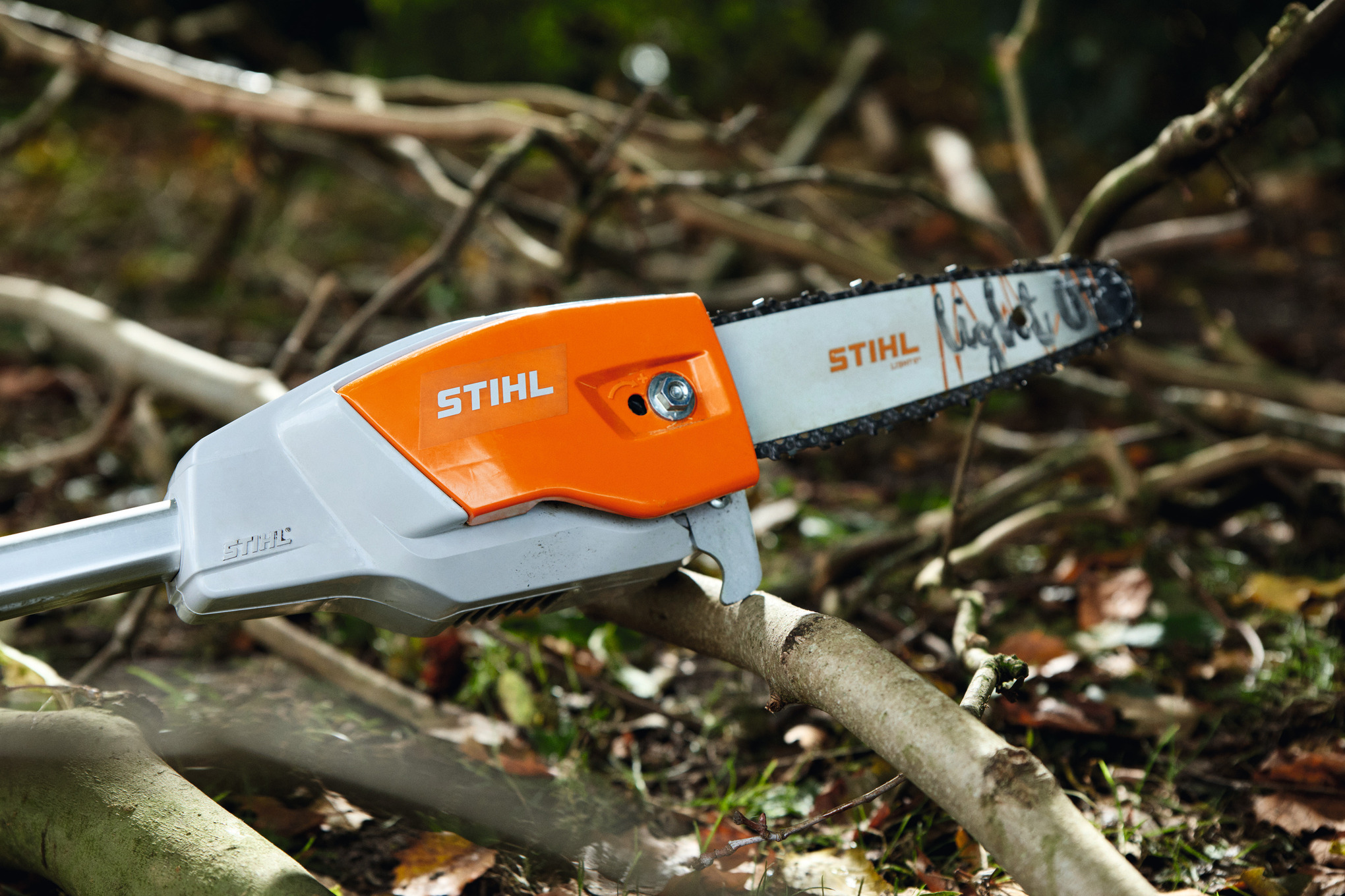 Stihl HTA 66 Hochentaster sägt Ast in natürlicher Umgebung