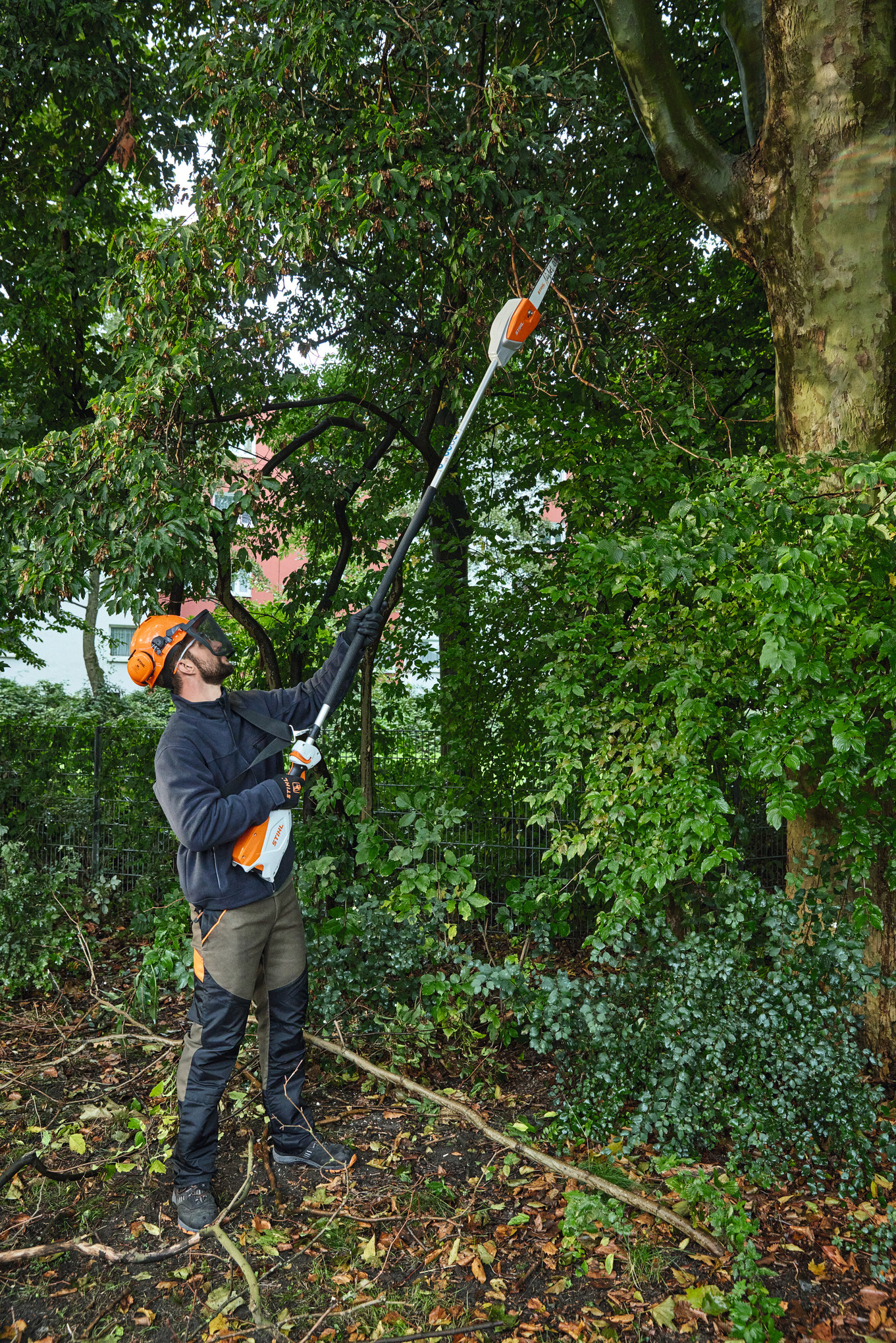 Professioneller Baumpfleger verwendet Stihl HTA 66 Hochentaster in grüner Umgebung