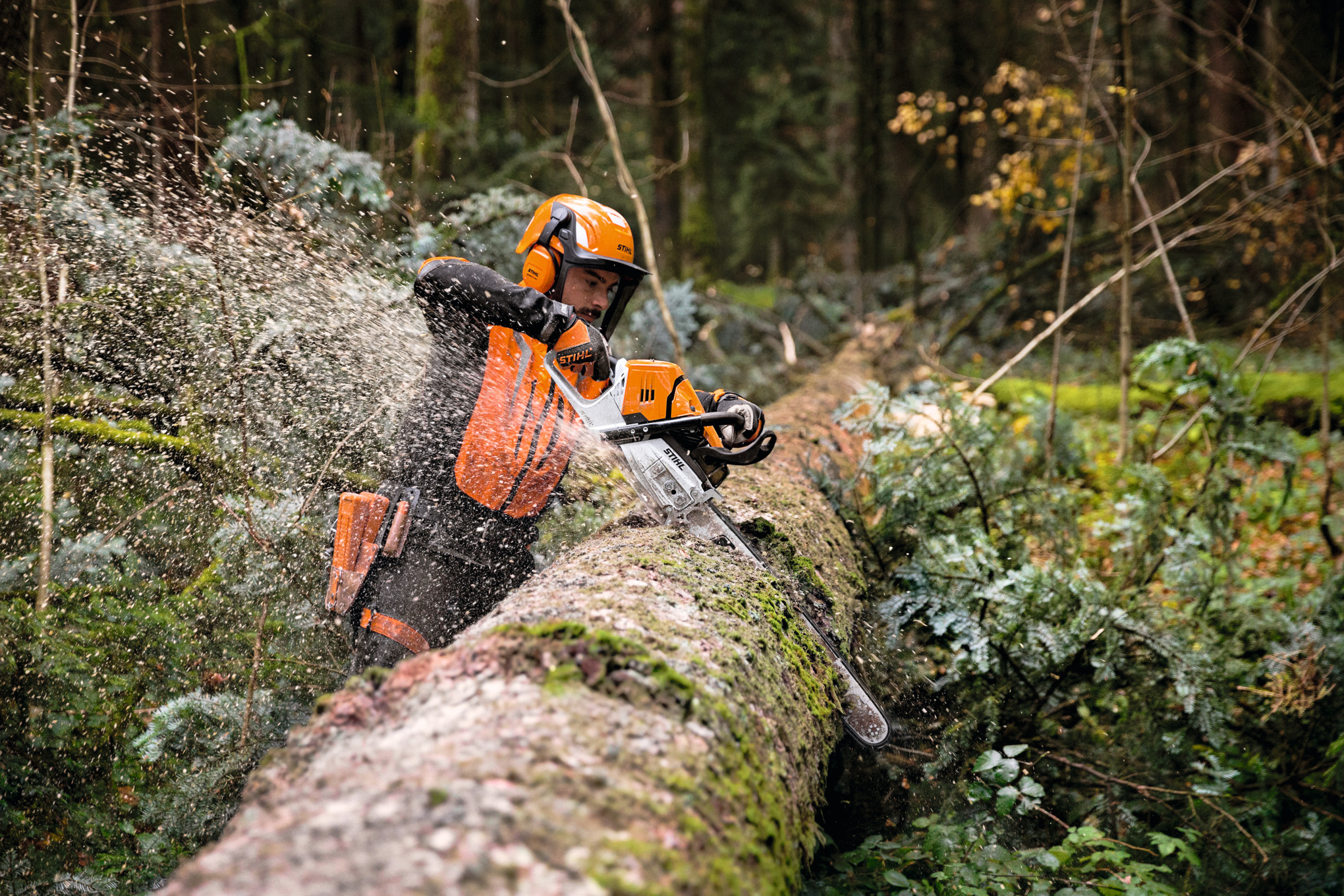 Holzfäller mit STIHL MS 500i Kettensäge sägt Baum in Wald