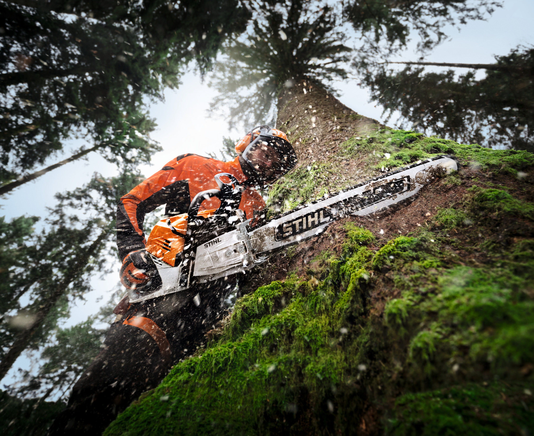 Professioneller Forstarbeiter fällt Baum mit Stihl Motorsäge im Schnee