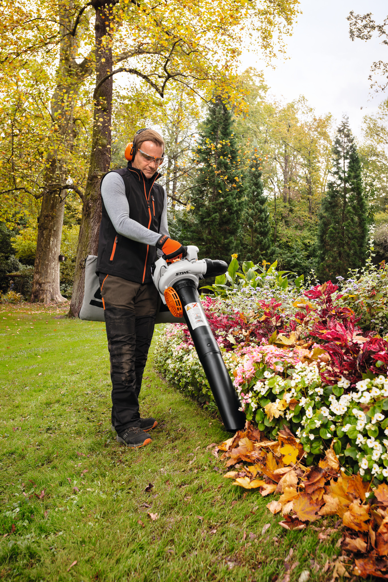 Mann verwendet STIHL SH 86 Saughäcksler im herbstlichen Garten