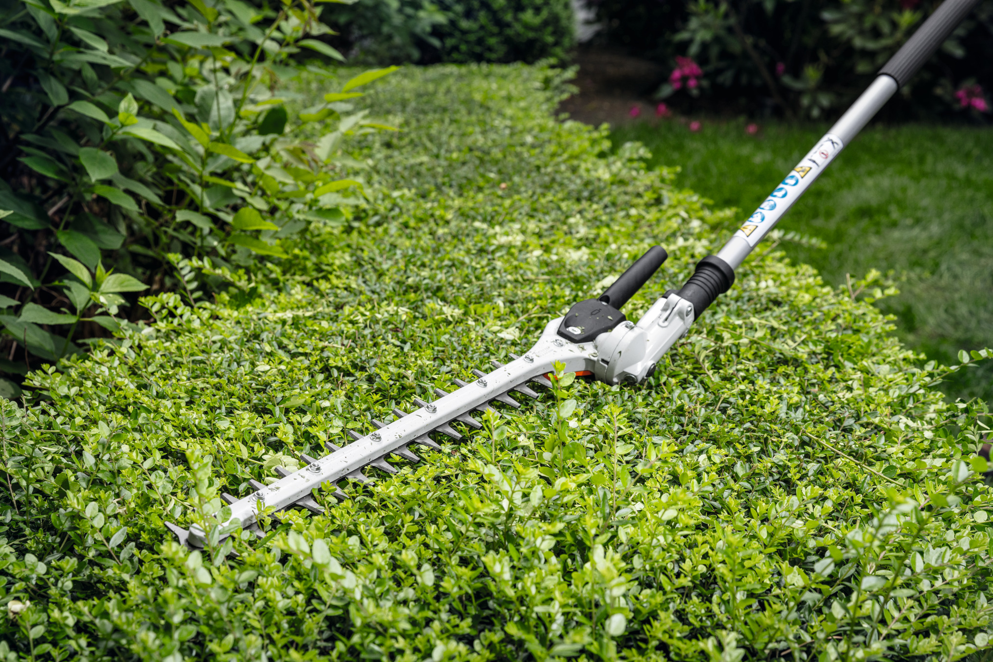 STIHL Heckenschneider auf Hecke in grünem Garten