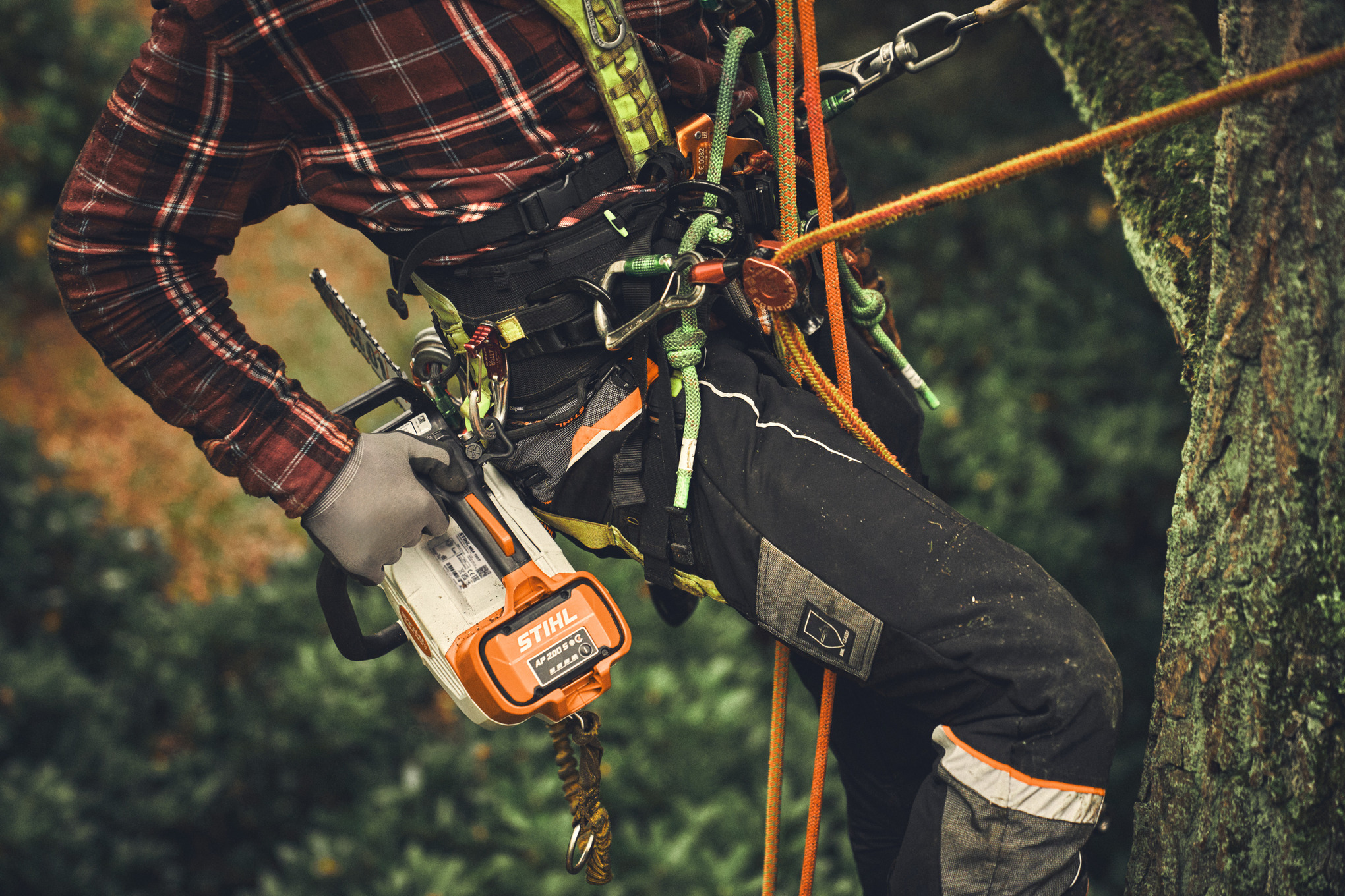 Professionelle Baumpflege mit STIHL Motorsäge und Sicherheitsausrüstung