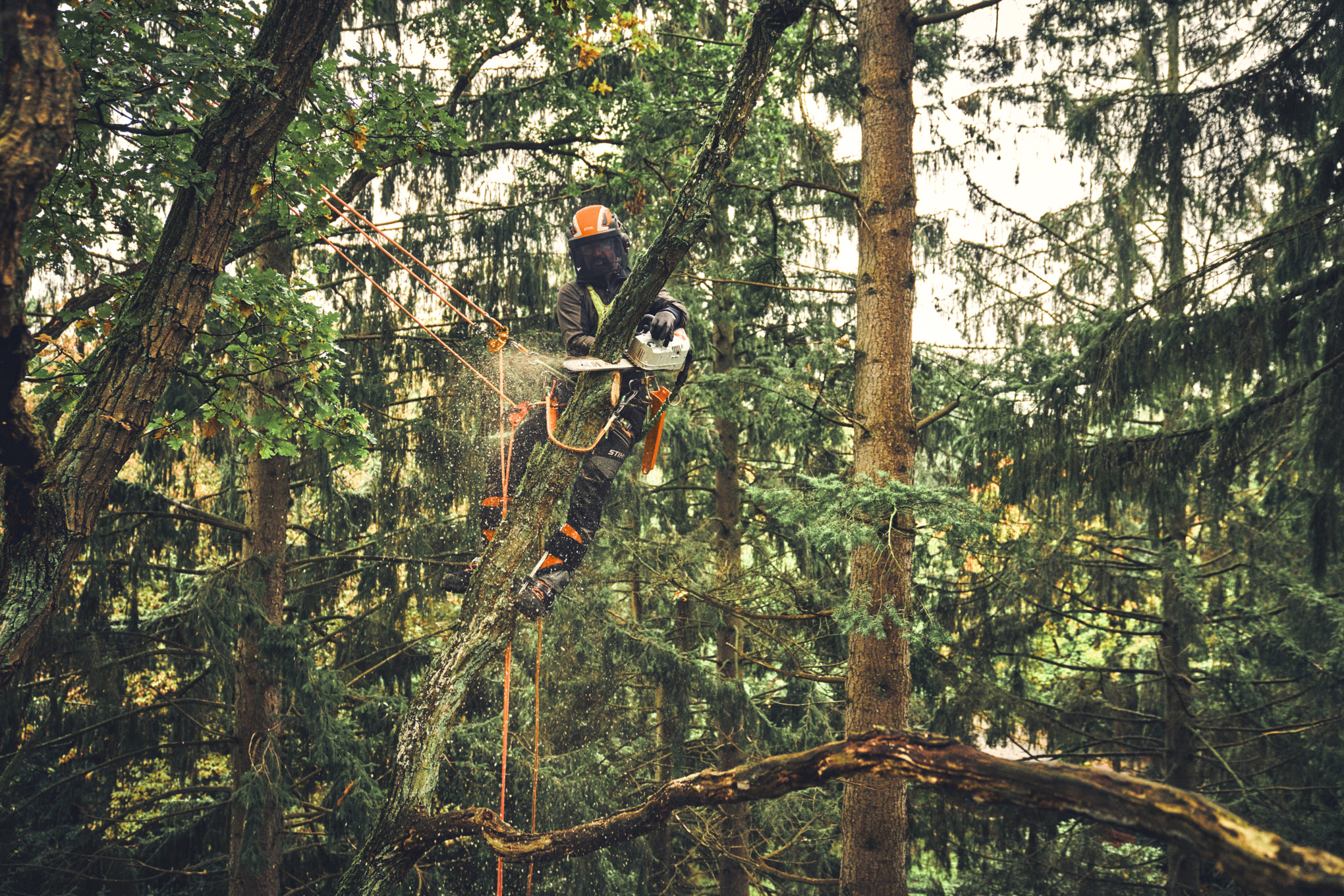 Baumpfleger in Aktion mit STIHL MSA 220 T Motorsäge in einem Wald