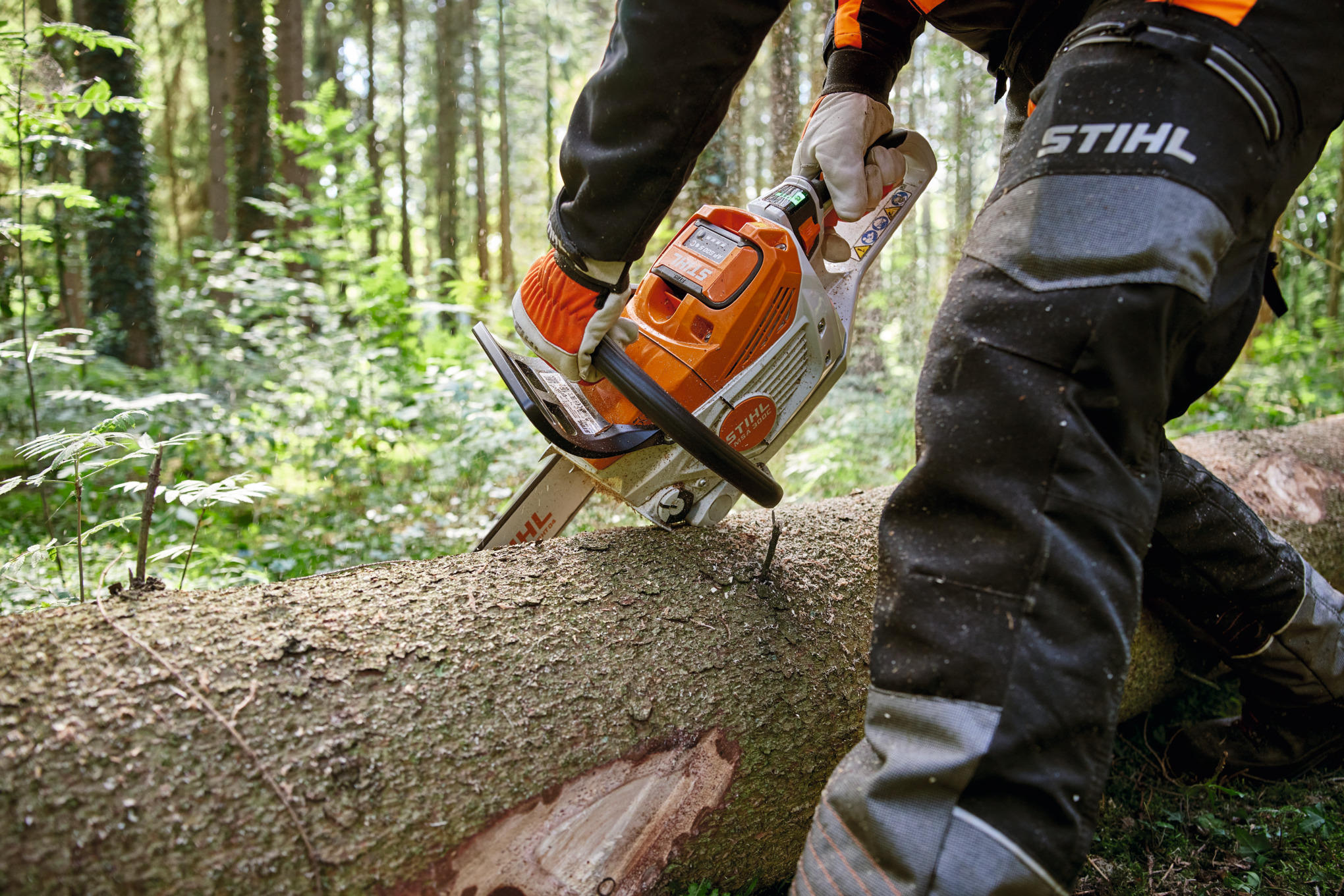 Waldarbeiter in Stihl Schutzhose schneidet Baum mit Motorsäge