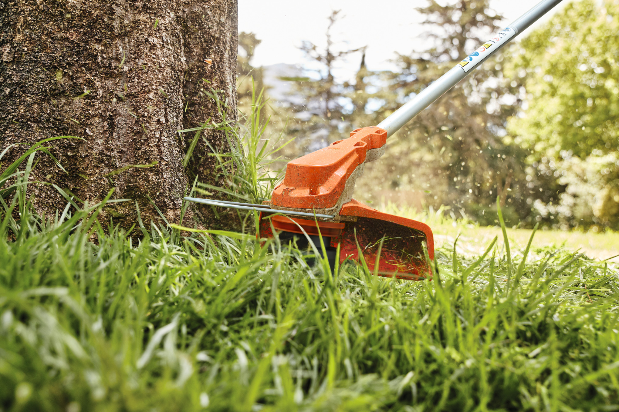 STIHL Akku-Motorsense FSA 60 R im Einsatz beim Gras schneiden neben einem Baum